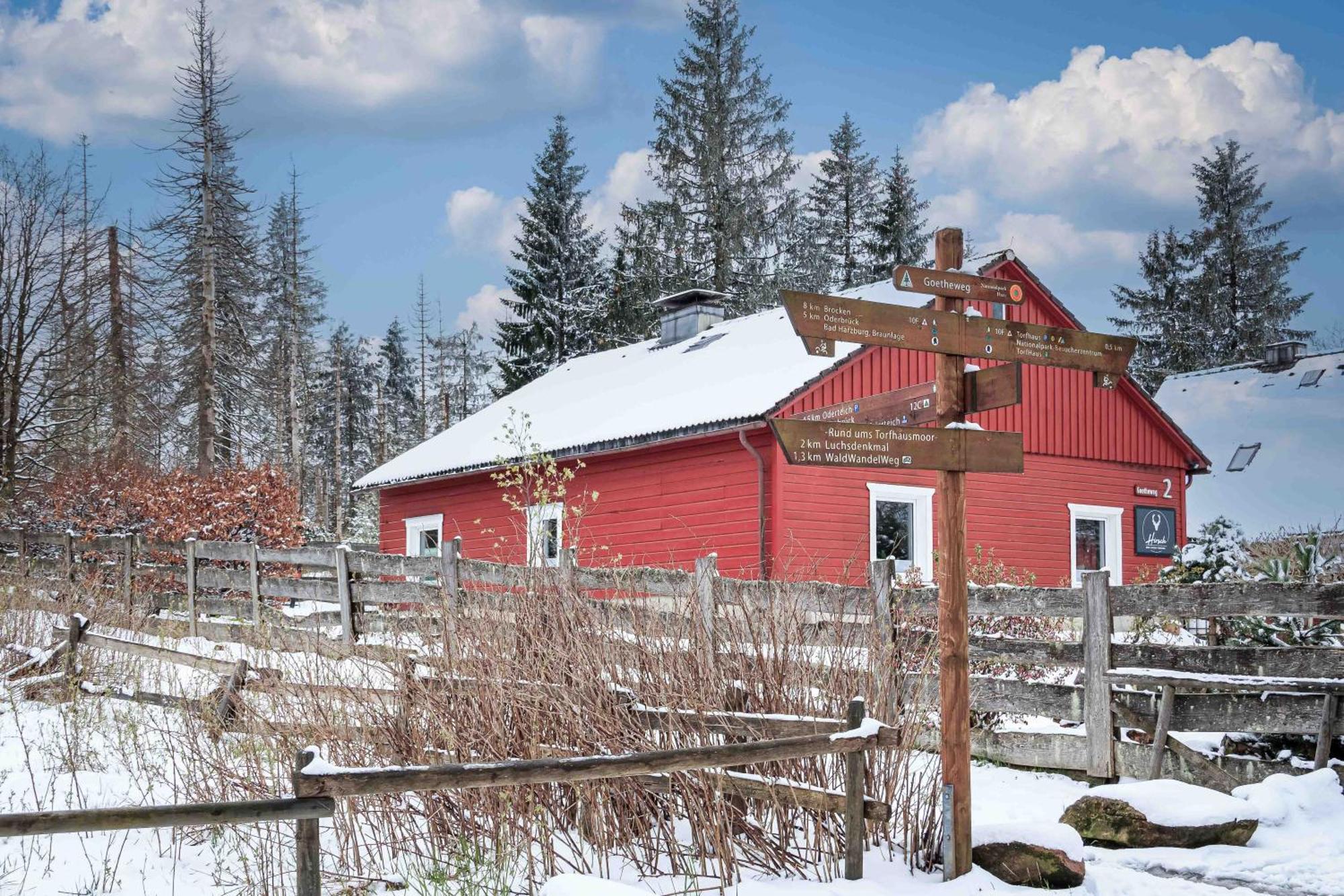 Gruppen & Familien-Ferienhaus Haensel Torfhaus ภายนอก รูปภาพ